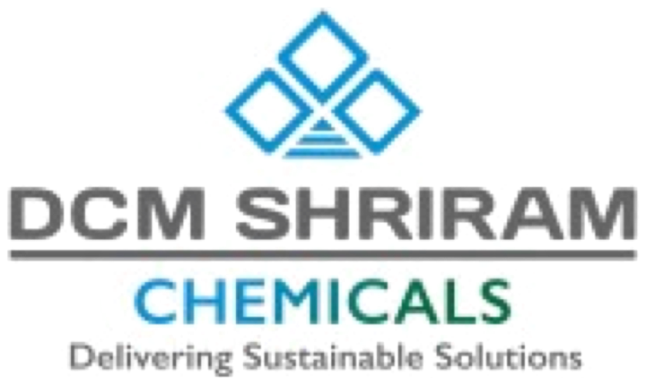 DCM Shriram Limited logo