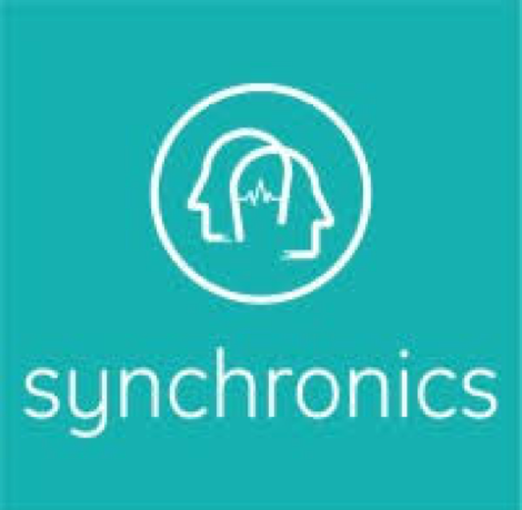 Synchronics Electronics Private Limited logo