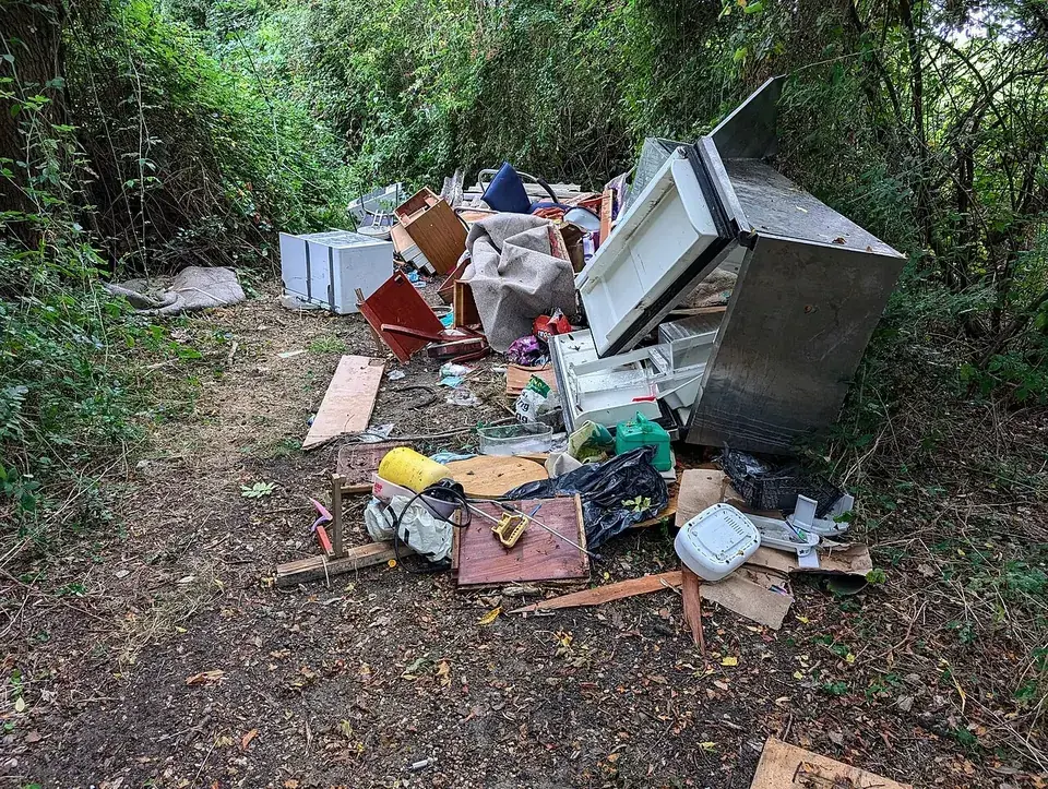 Dumped furniture, appliances and rubbish beside a woodland track